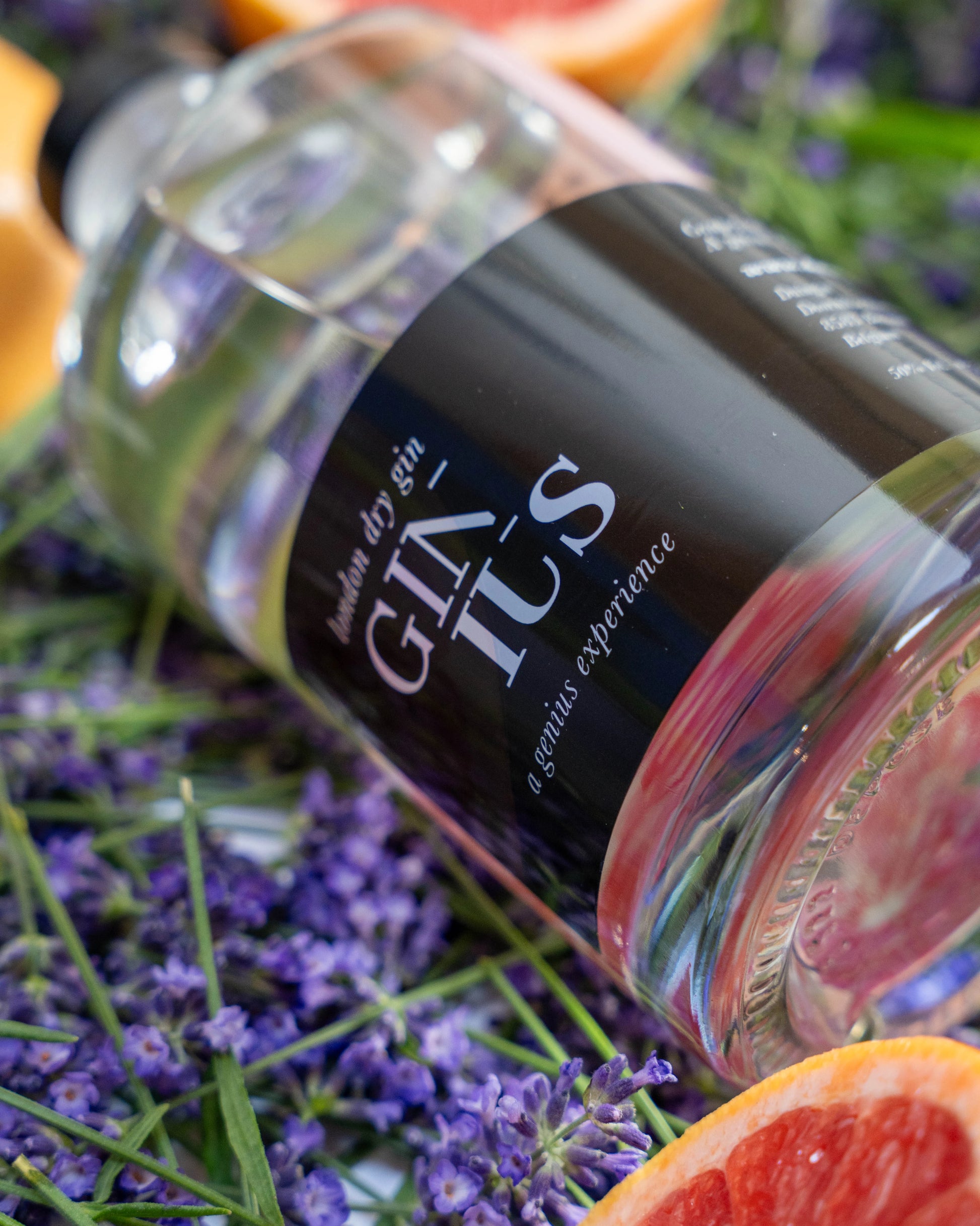 Beste gin van de wereld Ginius gin bij de ingrediënten: lavendel en pompelmoes.