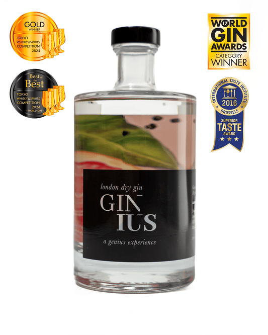 Ginius - The Spirits Valley